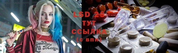 spice Ельня