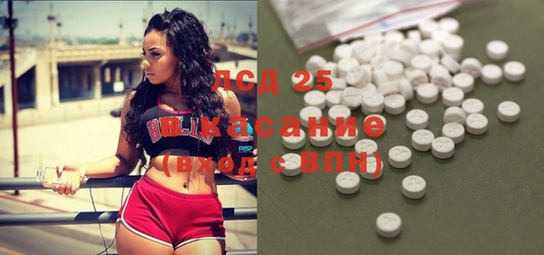 spice Ельня