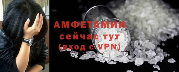 стаф Елизово