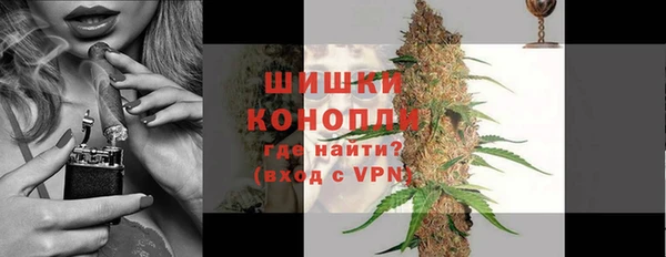 spice Ельня