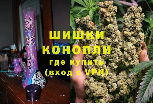 spice Ельня