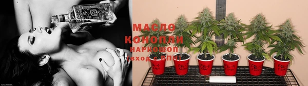 spice Ельня
