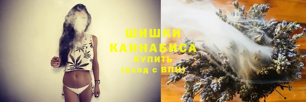 стаф Елизово