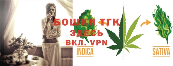 spice Ельня