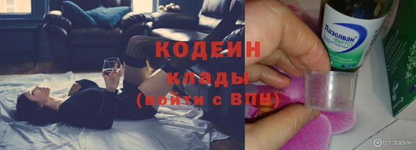 spice Ельня