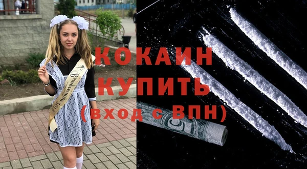 стаф Елизово