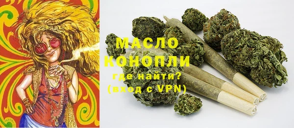 spice Ельня