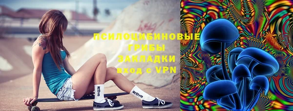 стаф Елизово
