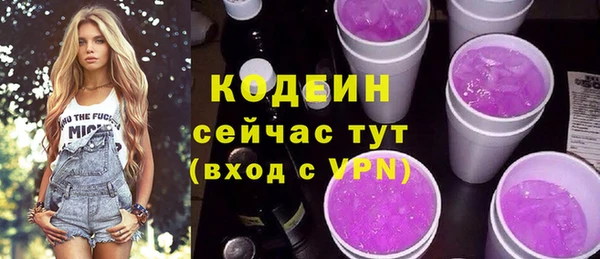 spice Ельня