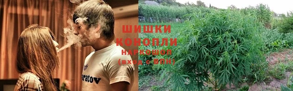 spice Ельня