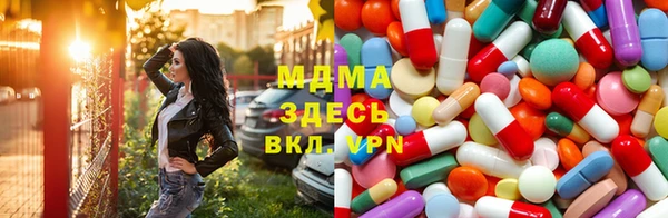spice Ельня