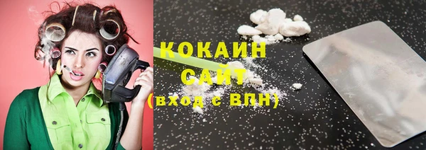 стаф Елизово
