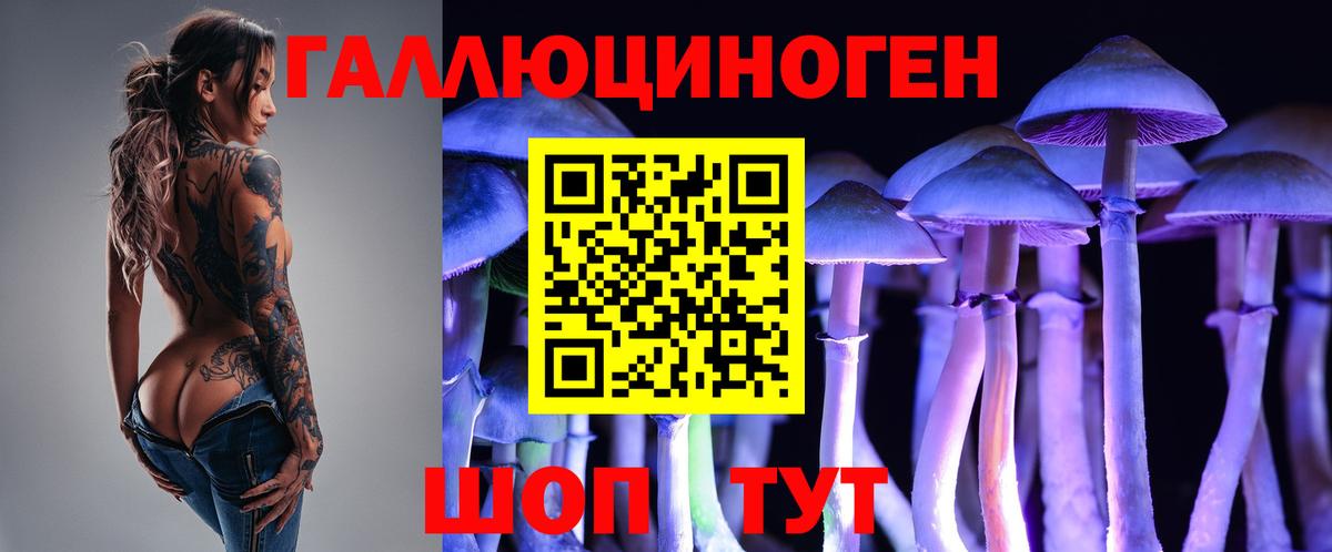 Псилоцибиновые грибы мухоморы Славянск-на-Кубани